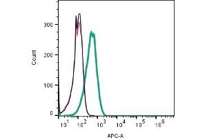 Cell surface detection of MRGPRX2 by indirect flow cytometry in live intact human KU812 basophilic leukemia cell line: + goat-anti-rabbit-APC. (MRGPRX2 抗体  (Extracellular))