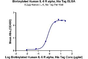 Immobilized Human IL-6, No Tag at 2 μg/mL (100 μL/well) on the plate.