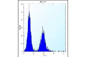 Flow Cytometry (FACS) image for anti-Zinc Finger CCCH-Type Containing 8 (ZC3H8) (AA 52-81), (N-Term) antibody (ABIN655410)
