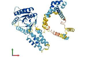 Protein Structure (PS) image for Signal Recognition Particle 54kDa (SRP54) (AA 1-504) protein (His tag) (ABIN7546356)