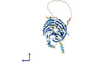 Protein Structure (PS) image for Cell Division Cycle 20 Homolog (S. Cerevisiae) (CDC20) (AA 1-499) protein (His tag) (ABIN7553222)