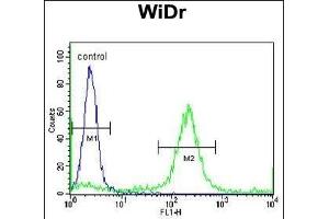 ADDEC1 Antibody (N-term) (ABIN653064 and ABIN2842665) flow cytometric analysis of WiDr cells (right histogr) compared to a negative control cell (left histogr). (ADAMDEC1 抗体  (N-Term))