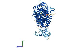 AlphaFold protein structure predicition of Human Recombinant HAL Protein, UniprotID P42357