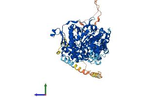 Protein Structure (PS) image for Adenosine Monophosphate Deaminase 3 (AMPD3) (AA 1-766) protein (His tag) (ABIN7562196)