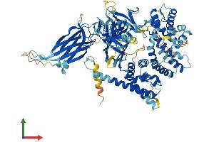 Protein Structure (PS) image for RAS P21 Protein Activator 3 (RASA3) (AA 1-834) protein (His tag) (ABIN7551177)