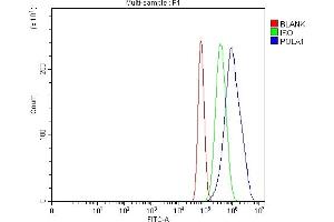 Flow Cytometry analysis of U87 cells using anti-POLA1 antibody (ABIN7601759). (POLA1 抗体  (AA 45-1429))