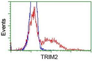 HEK293T cells transfected with either RC203947 overexpress plasmid (Red) or empty vector control plasmid (Blue) were immunostained by anti-TRIM2 antibody (ABIN2453856), and then analyzed by flow cytometry. (TRIM2 抗体  (AA 1-100, AA 645-744))