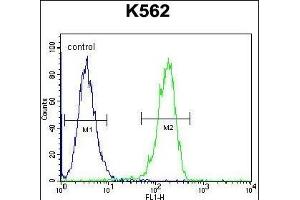 Flow Cytometry (FACS) image for anti-Cleavage and Polyadenylation Specific Factor 7, 59kDa (CPSF7) (AA 427-455), (C-Term) antibody (ABIN656085)