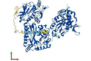 Protein Structure (PS) image for N-Deacetylase/N-Sulfotransferase (Heparan Glucosaminyl) 4 (NDST4) (AA 1-872) protein (His tag) (ABIN7554711)