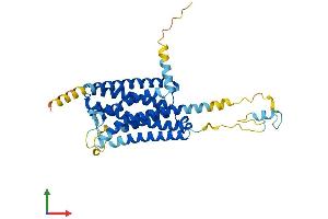 Protein Structure (PS) image for G Protein-Coupled Receptor 85 (GPR85) (AA 1-370) protein (His tag) (ABIN7548098)