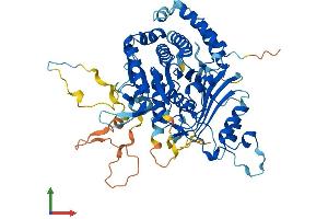 Protein Structure (PS) image for Misato Homolog 1 (MSTO1) (AA 1-570) protein (His tag) (ABIN7549560)