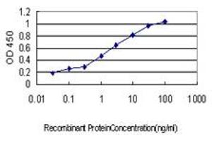 Detection limit for recombinant GST tagged PDE2A is approximately 0. (PDE2A 抗体  (AA 850-940))