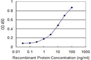 Detection limit for recombinant GST tagged RBM3 is 0. (RBM3 抗体  (AA 1-80))