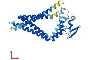 Protein Structure (PS) image for Tetraspanin 8 (TSPAN8) (AA 1-237) protein (His tag) (ABIN7544782)
