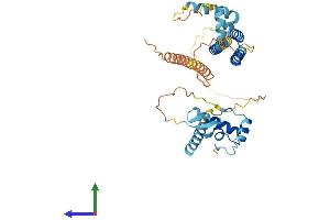 AlphaFold protein structure predicition of Mouse Recombinant Eid3 Protein, UniprotID Q3V124
