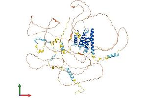 AlphaFold protein structure predicition of Mouse Recombinant Iws1 Protein, UniprotID Q8C1D8