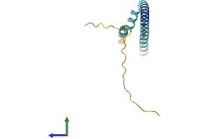 Protein Structure (PS) image for TSC22 Domain Family, Member 3 (TSC22D3) (AA 1-134) protein (His tag) (ABIN7544146)