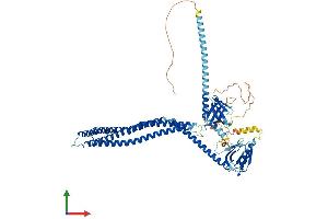 Protein Structure (PS) image for Adaptor Protein, phosphotyrosine Interaction, PH Domain and Leucine Zipper Containing 1 (APPL1) (AA 1-709) protein (His tag) (ABIN7553719)