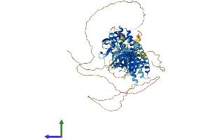 AlphaFold protein structure predicition of Mouse Recombinant Fgd4 Protein, UniprotID Q91ZT5