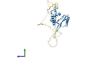Protein Structure (PS) image for Vacuolar Protein Sorting 72 Homolog (S. Cerevisiae) (VPS72) (AA 1-364) protein (His tag) (ABIN7545146)