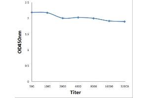 ELISA image for anti-Titin (TTN) (AA 2670-2703) antibody (ABIN1387283)