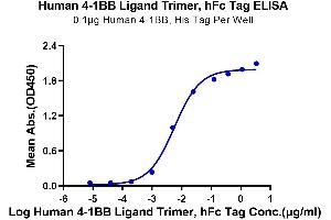 Immobilized Human 4-1BB, His Tag at 1 μg/mL (100 μL/Well) on the plate.