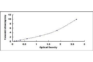 Typical standard curve (CCDC80 ELISA 试剂盒)