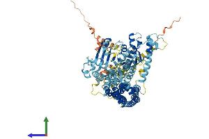 Protein Structure (PS) image for Nuclear GTPase, Germinal Center Associated (NUGGC) (AA 1-796) protein (His tag) (ABIN7555523)