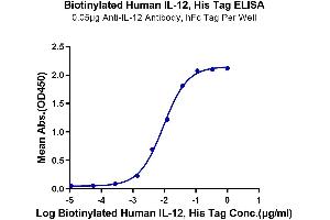 Immobilized Anti-IL-12 Antibody, hFc Tag at 0. (IL12 Protein (AA 23-328) (His-Avi Tag,Biotin))