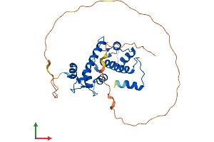 AlphaFold protein structure predicition of Human Recombinant PEF1 Protein, UniprotID Q9UBV8 (PEF1 Protein (AA 1-284) (His tag))