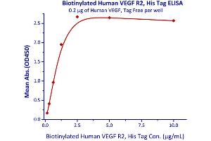 Immobilized Human VEGF, Tag Free  with a linear range of 0. (VEGFR2/CD309 Protein (AA 20-764) (His tag,AVI tag,Biotin))