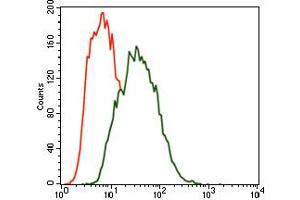 Image no. 4 for anti-MAP/microtubule Affinity-Regulating Kinase 3 (MARK3) antibody (ABIN1491518) (MARK3 抗体)