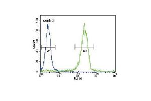 SOCS1 Antibody (N-term) (ABIN652738 and ABIN2842489) flow cytometric analysis of WiDr cells (right histogram) compared to a negative control cell (left histogram). (SOCS1 抗体  (N-Term))