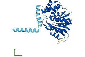 Protein Structure (PS) image for Catechol-O-Methyltransferase (COMT) (AA 1-265) protein (His tag) (ABIN7562636)