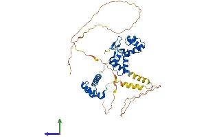 Protein Structure (PS) image for Paired Box 6 (PAX6) (AA 1-422) protein (His tag) (ABIN7550553)