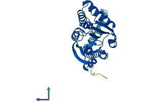 Protein Structure (PS) image for Catechol-O-Methyltransferase (COMT) (AA 1-265) protein (His tag) (ABIN7562636)