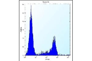 CASC4 Antibody (C-term) (ABIN654468 and ABIN2844202) flow cytometric analysis of Neuro-2a cells (right histogram) compared to a negative control cell (left histogram). (CASC4 抗体  (C-Term))