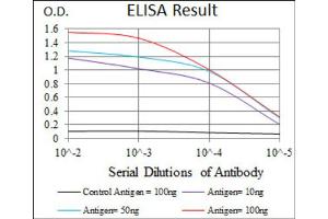 Red: Control Antigen (100ng) ; Purple: Antigen (10ng) ; Green: Antigen (50ng) ; Blue: Antigen (100ng). (CEBPA 抗体)