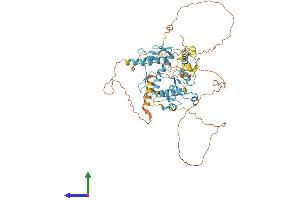 Protein Structure (PS) image for Zinc Finger Protein 8 (ZNF8) (AA 1-575) protein (His tag) (ABIN7545416)