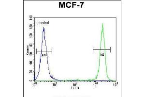 Flow cytometric analysis of MCF-7 cells (right histogram) compared to a negative control cell (left histogram). (SEL1L 抗体  (AA 156-182))
