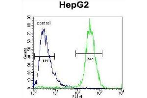 TYROBP Antibody (C-term) flow cytometric analysis of HepG2 cells (right histogram) compared to a negative control cell (left histogram). (TYROBP 抗体  (C-Term))