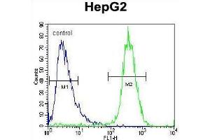 TYROBP Antibody (C-term) flow cytometric analysis of HepG2 cells (right histogram) compared to a negative control cell (left histogram).