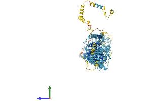 Protein Structure (PS) image for Nucleoporin 93kDa (NUP93) (AA 1-819) protein (His tag) (ABIN7550409)
