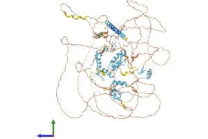 Protein Structure (PS) image for Sal-Like 2 (SALL2) (AA 1-1007) protein (His tag) (ABIN7555355)
