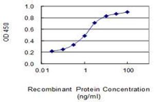 Detection limit for recombinant GST tagged NDUFA4 is 0. (NDUFA4 抗体  (AA 1-81))