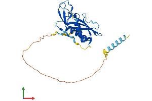 Protein Structure (PS) image for Receptor (Chemosensory) Transporter Protein 4 (RTP4) (AA 1-246) protein (His tag) (ABIN7551671)