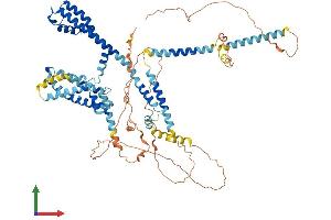 Protein Structure (PS) image for Potassium Voltage-Gated Channel, KQT-Like Subfamily, Member 4 (KCNQ4) (AA 1-695) protein (His tag) (ABIN7554240)