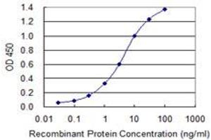 Detection limit for recombinant GST tagged MBD5 is 0. (MBD5 抗体  (AA 1-229))