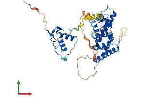 AlphaFold protein structure predicition of Mouse Recombinant Nr2e1 Protein, UniprotID Q64104