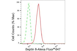 Flow cytometric analysis of Septin 8 expression in C2C12 cells using Septin 8 antibody (ABIN7800297), 1:2,000). (Recombinant Septin 8 抗体)